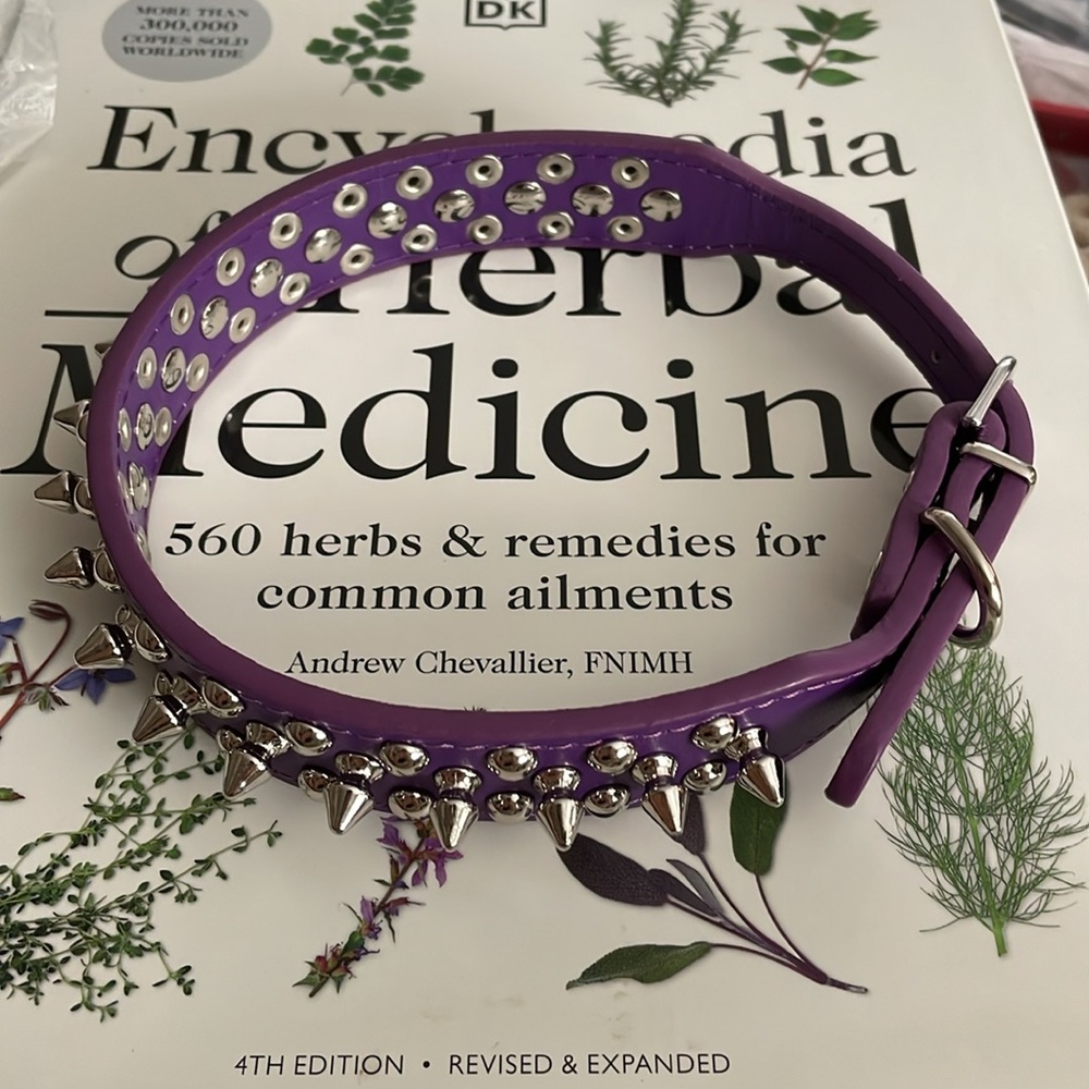 Purple Collar - Picture 5 of 5